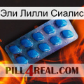 Эли Лилли Сиалис viagra1